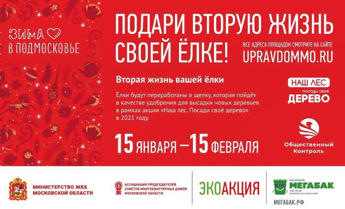 Традиционная экологическая  акция «Подари своей ёлке вторую жизнь!» пройдет в Московской области с 15 января по 15 февраля 2021 года