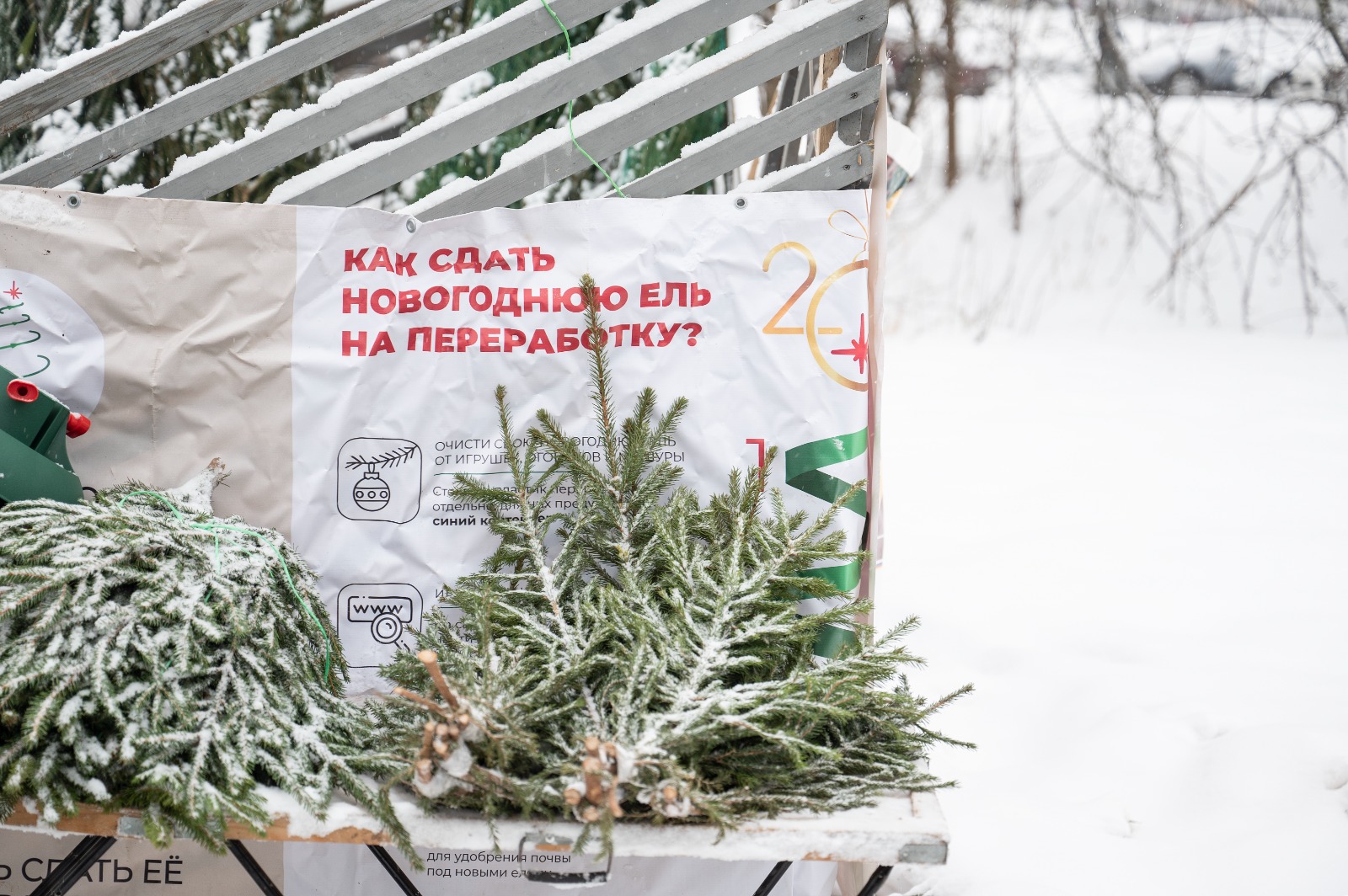 В Ленинском округе 15 января стартует акция «Подари своей елке вторую жизнь»