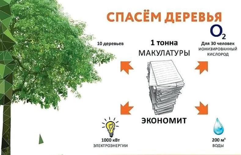 В Московской области проходит «Эко-марафон ПЕРЕРАБОТКА «Сдай макулатуру – спаси дерево!»