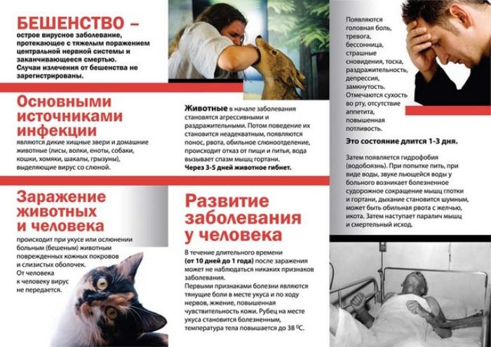 Уважаемые жители Ленинского городского округа, владельцы животных!